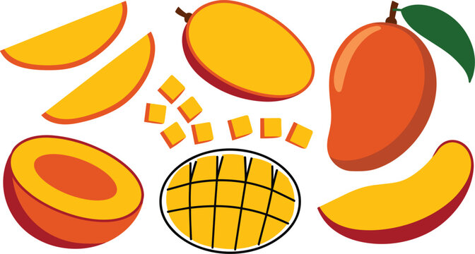Vector collection of fresh ripe mango fruit elements containing whole half slices chunks and diced cubes isolated
