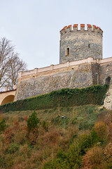 Fototapeta premium Ancient stone tower with ivy-covered walls on a hilltop