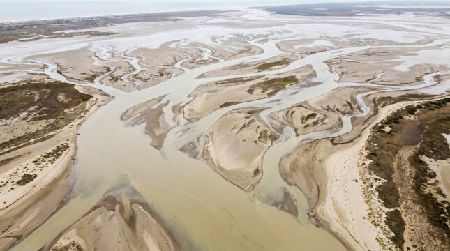 Aerial abstraction of branching tidal channels weaving through coastal mudflats