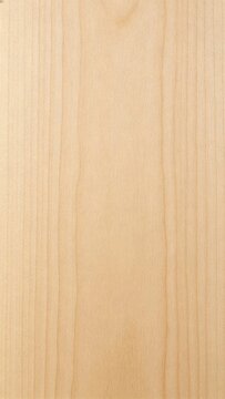 Flat light maple wood texture, Modern flooring 3D material.