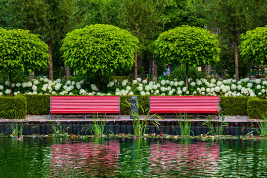Two red park benches near blooming hydrangea bushes and a pond in the city garden. Relaxing by the water on a summer day, no one around