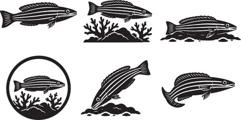 Six Line Wrasse Silhouette Icon Set Black Vector Reef Aquarium Fish Collection © VanChien