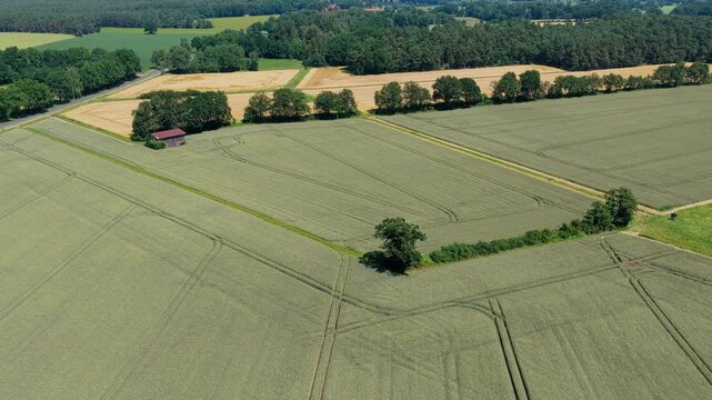 Crop plantation at farm. Agriculture and cultivation. Aerial top view on green crop field. Nature environment. Green harvest in field. Summer green field. Agricultural aerial landscape