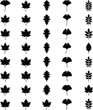 Set of isolated black autumn leaf silhouettes in vertical rows