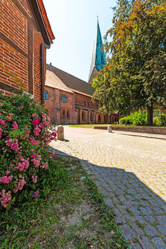 View of St. Michaelis Church with a blooming climbing rose in Eutin, Schleswig-Holstein, Germany, on a sunny summer day.