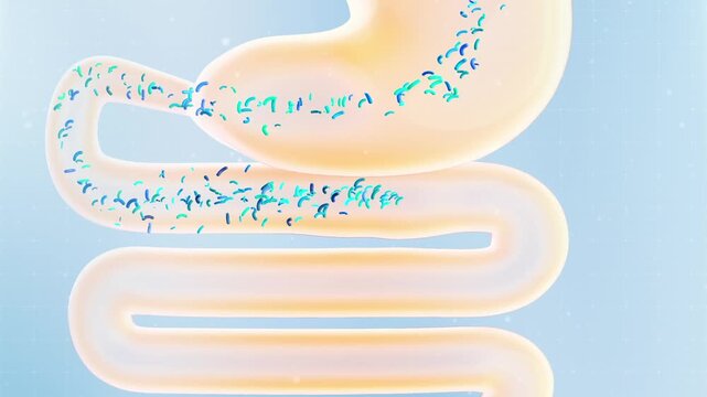 Gut Health HD 3D Animation: Probiotic Growth, Intestinal Cleanse, Digestion Boost & Bloating Relief