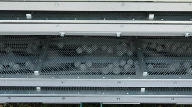 A close-up shot shows rubber cleaning balls jumping on a mesh sieve inside a grain cleaning machine to prevent clogging.