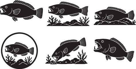 Harlequin Tusk Silhouette Icon Set Black Vector Reef Aquarium Fish Collection © Pham