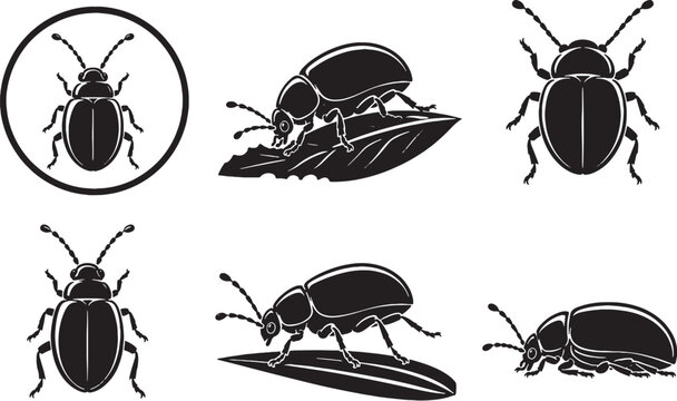 Marsh Reed Leaf Beetle Silhouette Icon Set Black Vector Wildlife Collection