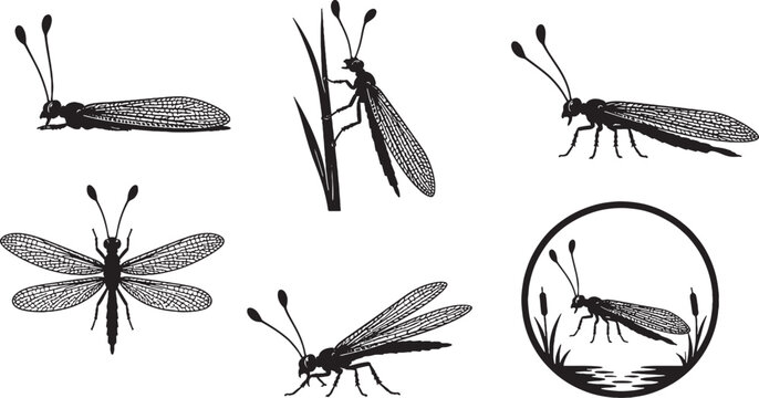 Marsh Water Antlion Silhouette Icon Set Black Vector Wildlife Collection for SVG EPS AI Stock Illustration