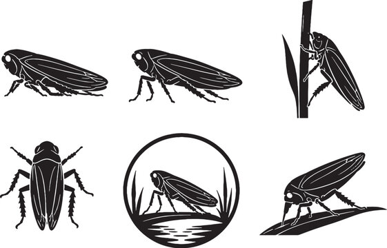 Marsh Water Leafhopper Silhouette Icon Set Black Vector Wildlife Collection for SVG EPS AI Stock Illustration