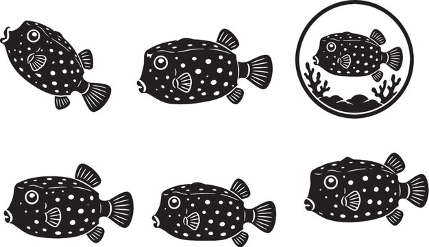 box fish black and white Boxfish Boxfish Digital Illustration Drawing Black