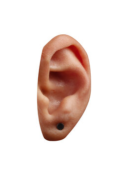 Isolated on transparent background  human ear wearing a small black stud earring on a white background, close-up, ideal for health, hearing, and jewelry concepts.