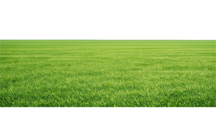 Obraz premium PNG Vast green field landscape