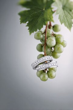 two white gold rings with lab grown diamonds. A small grape vine hangs from below, adding to its elegance. wedding rings of platinum or white gold metal