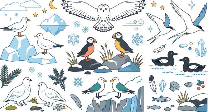 Arctic birds vector illustration set featuring snowy owl puffins seagulls terns and ptarmigan with icebergs for nature education marketing layout templates