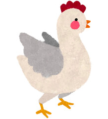 cute hand drawn chicken © Devi