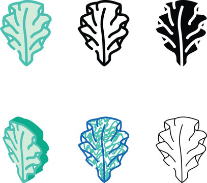 ulva lettuce seaweed series color icon vector. ulva lettuce seaweed sign. isolated symbol illustration