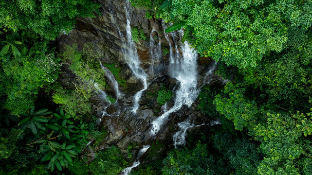 Aerial view of deep tropical rainforest with waterfall surrounded by lush tropical forest and towering cliffs streams of water into deep canyon, Lush green trees in forest with natural stream.