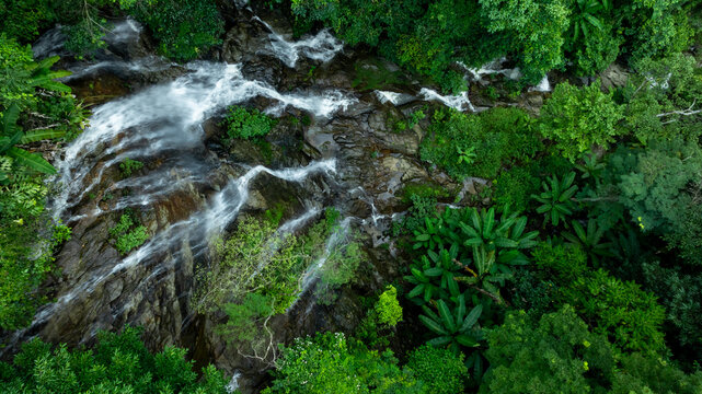Aerial view of deep tropical rainforest with waterfall surrounded by lush tropical forest and towering cliffs streams of water into deep canyon, Lush green trees in forest with natural stream.