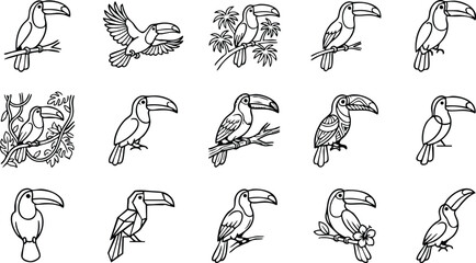 Obraz premium Set of fifteen black and white toucan bird featuring tropical birds on branches, flying toucans, and stylized jungle bird