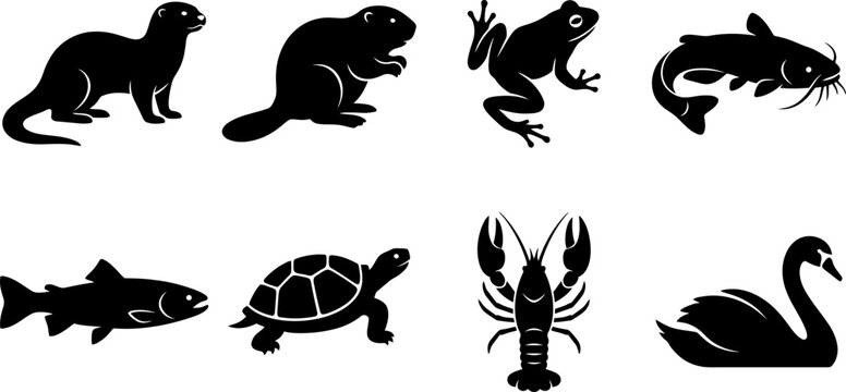 Freshwater Aquatic Animal Silhouette Set Collection Vector Isolated on White Background