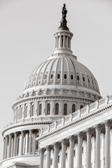 Fototapeta premium US Capitol Building at night - Washington DC, United States