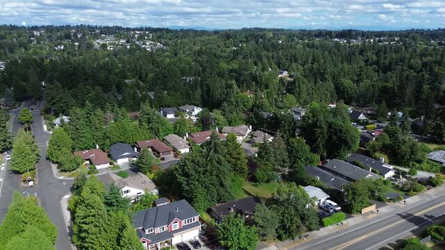 Rolling topography landscape with individual homes are nestled into established forest patches. This arrangement minimizes visual impact of density against natural environment in Des Moines, WA