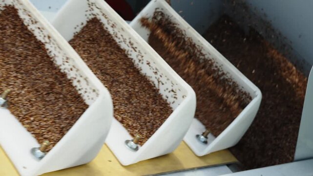 White conveyor buckets filled with brown flaxseeds move upward into a processing machine.