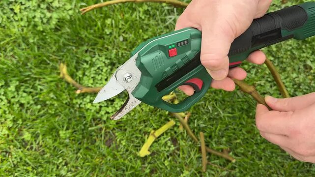 Hand holding green cordless pruning shears over grass, close view of garden tool in use, practical outdoor maintenance mood