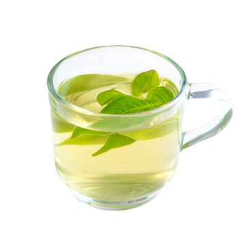 Fresh green leaves infusing in a clear glass mug filled with light yellow herbal tea isolated on transparent background transparent background 