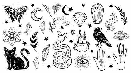 Intricate witchcraft illustrations featuring a butterfly crescent moon crystals and feline on a white background lepidoptera insect celestial © PRODIP