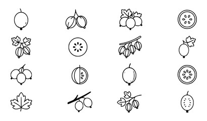 Fototapeta premium Gooseberry Linear and Clipart Icon Pack Collection with Editable Outline and Flat Vector Design