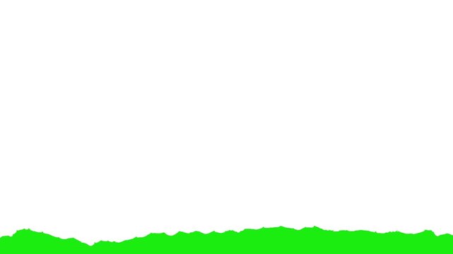 Rough Torn Paper Split Reveal Animation on Green Screen Ripped Edge Transition Effect with Chroma Key Background for Video Editing