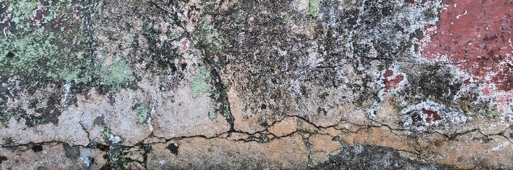 Cracked concrete wall featuring weathered peeling paint and vibrant green moss © Harry
