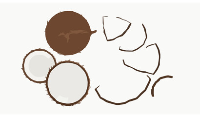 Obraz premium Premium Coconut Set with Whole Half and Sliced Fruit Vector Top View EPS10