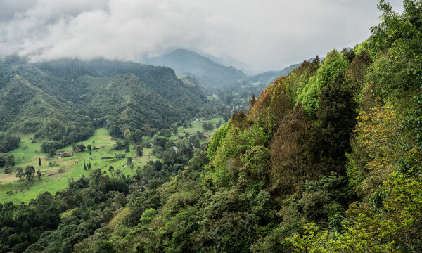 Paisaje monta&ntilde;oso con bosque nublado y valle verde en la cordillera colombiana