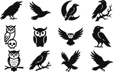 Fototapeta premium Halloween Crow Raven Owl Bird Silhouette Icon Set – 12 Minimal Spooky Black Bird Vector Icons Bundle