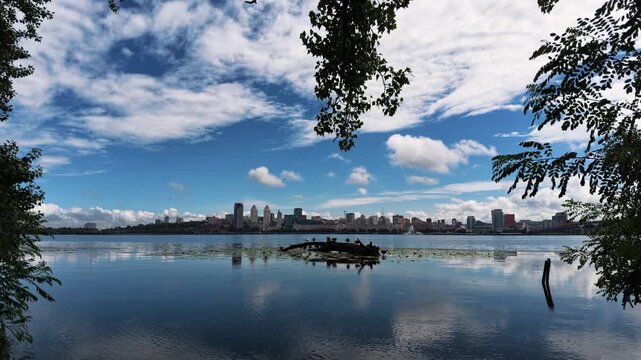 Static ultra wide view of Dnipro city skyline across the Dnieper river. Wild birds on a log surrounded by water lilies, framed beautifully by green tree branches. Overcast