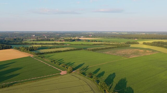 Crop plantation at farm. Agriculture and cultivation. Aerial top view on green crop field. Nature environment. Green harvest in field. Summer green field. Agricultural aerial landscape