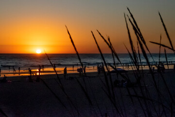 Sunset landscape scene at Palmar de Vejer beach, Spain © DFLC