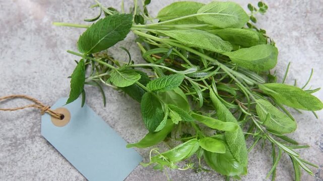 Bunch of fresh culinary herbs rotating
