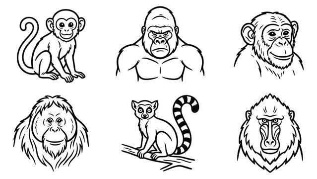 Set of cute monkey and ape character icons in black and white line art style