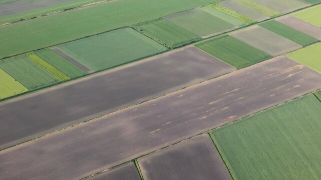 Picturesque aerial view of lush green and brown agricultural fields creating a stunning patchwork pattern on the flat countryside landscape