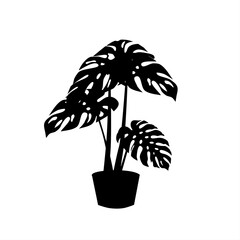 Monstera plant silhouette in black on white background © Babah Isa
