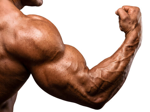 Dramatic macro close up of a highly muscular, sweaty male arm flexing bicep with prominent veins, isolated on transparent background