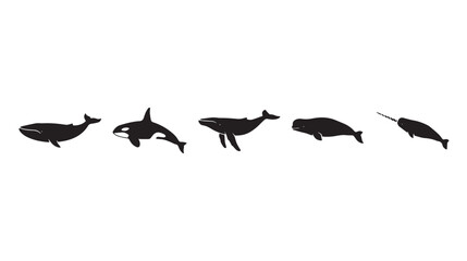 Minimalist whale silhouettes set, black marine mammal icons including orca and narwhal, aquatic wildlife vector collection for ocean conservation © Naveed