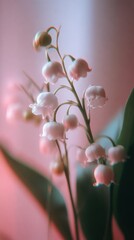 Obraz premium Soft-focus lily of the valley flowers, pastel hues, ideal mobile wallpaper.