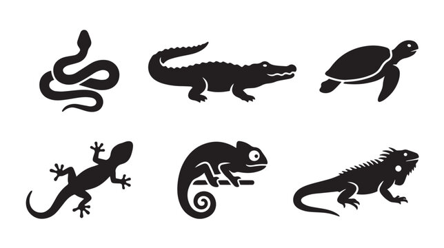 Reptile silhouette icon set, black lizard and snake vector graphics, 6 wild animal symbols for nature logos and educational design