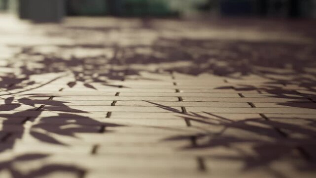 Sunlight shines through leaves, creating unique shadows on a wooden floor. The play of light and shadow shows the natural shapes of the leaves. This scene captures a moment in nature.